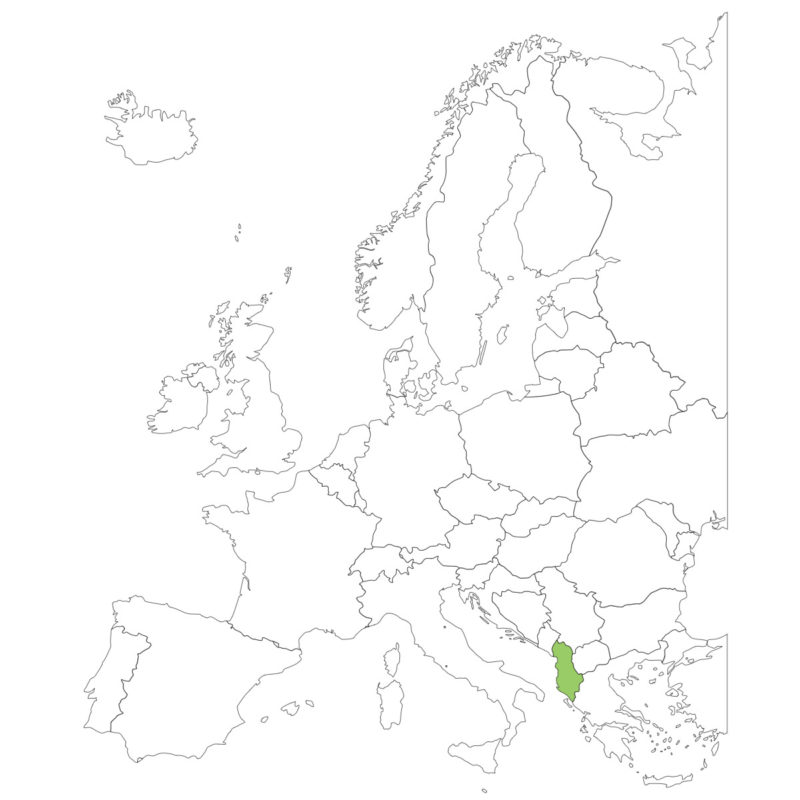 アルバニア国旗の意味と由来、似てる国旗は？