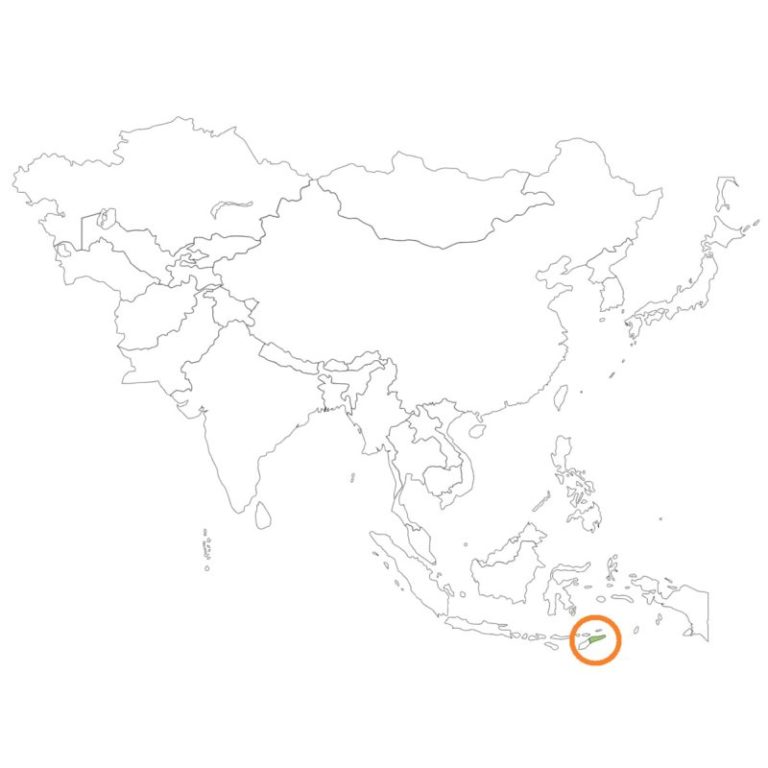 東ティモール国旗の意味と由来、似てる国旗は?