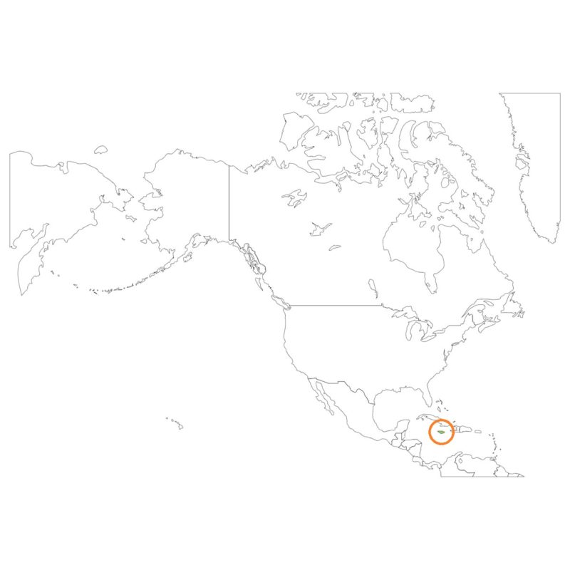 ジャマイカの国旗の意味