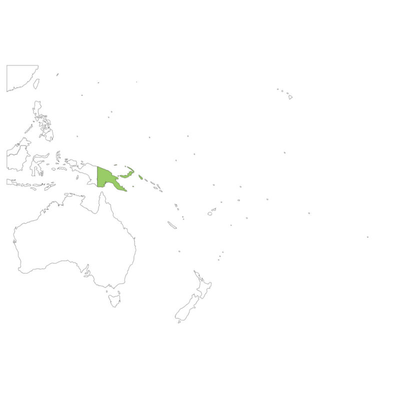 パプアニューギニア国旗の意味と由来、似てる国旗は？