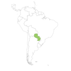 パラグアイの場所