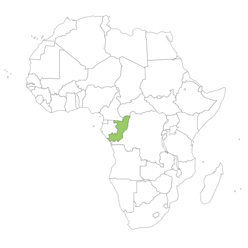 コンゴ共和国の国旗の意味と由来、似てる国旗は？