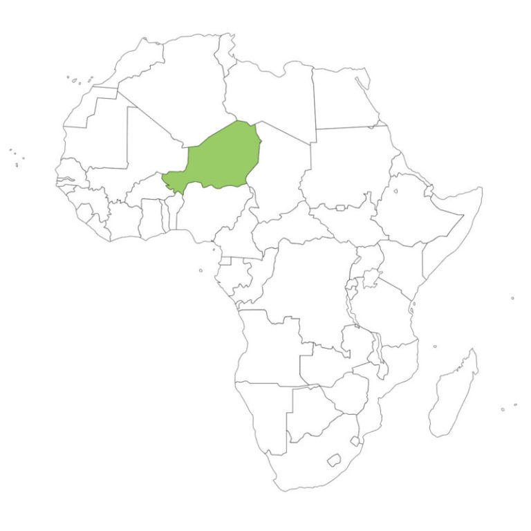 ニジェール国旗の意味と由来、似てる国旗は?