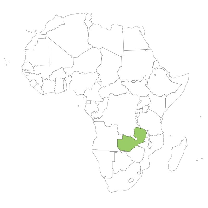 ザンビア国旗の意味と由来、似てる国旗は？